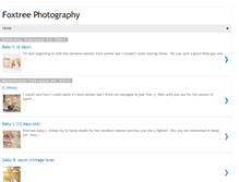 Tablet Screenshot of foxtreephotography.blogspot.com