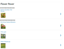 Tablet Screenshot of myflowerpics.blogspot.com