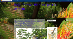 Desktop Screenshot of beijafloreseplantas.blogspot.com