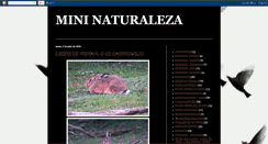 Desktop Screenshot of mininaturaleza.blogspot.com