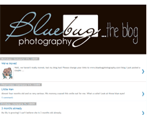 Tablet Screenshot of bluebugphotography.blogspot.com