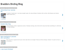 Tablet Screenshot of braddersbirding.blogspot.com
