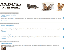 Tablet Screenshot of animalsofzoo.blogspot.com