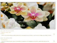 Tablet Screenshot of lesmillesetundelicedelexibule.blogspot.com