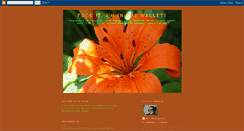 Desktop Screenshot of mattinthewallet.blogspot.com