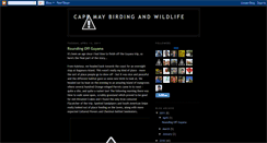 Desktop Screenshot of capemaybrit.blogspot.com