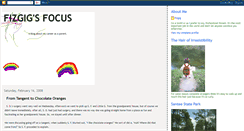 Desktop Screenshot of fizgigsfocus.blogspot.com