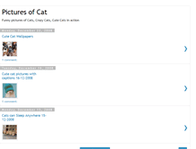 Tablet Screenshot of catpictural.blogspot.com