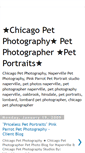 Mobile Screenshot of napervillepetportraits.blogspot.com