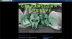 Desktop Screenshot of grahamstownstrays.blogspot.com