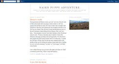 Desktop Screenshot of nairnpuppyadventure.blogspot.com