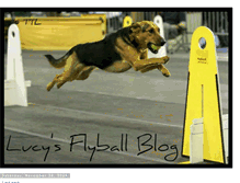 Tablet Screenshot of lucyflyball.blogspot.com