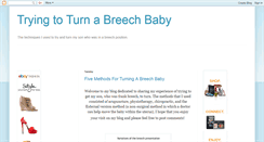 Desktop Screenshot of flipthatbaby.blogspot.com
