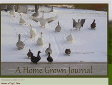 Tablet Screenshot of ahomegrownjournal.blogspot.com