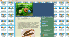 Desktop Screenshot of biocomercio-peces.blogspot.com