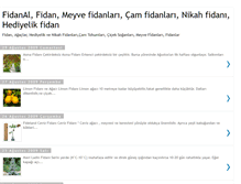 Tablet Screenshot of fidanal.blogspot.com