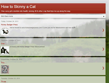 Tablet Screenshot of howtoskinnyacat.blogspot.com