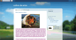 Desktop Screenshot of cultivodeerizo.blogspot.com