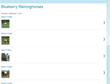 Tablet Screenshot of blueberryreininghorses.blogspot.com