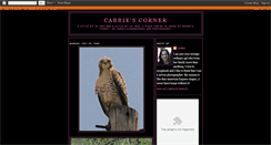 Desktop Screenshot of carriesthisandthatcorner.blogspot.com