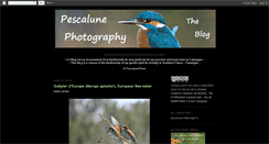 Desktop Screenshot of pescalunephoto.blogspot.com