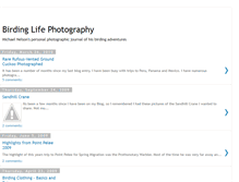 Tablet Screenshot of birdinglifephotography.blogspot.com