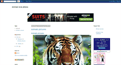 Desktop Screenshot of animals-love-photos.blogspot.com
