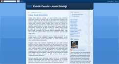 Desktop Screenshot of estetikcerrahi-kulak.blogspot.com