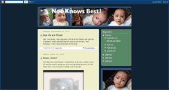 Desktop Screenshot of noeknowsbest.blogspot.com