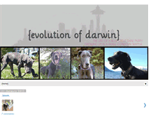 Tablet Screenshot of evolutionofdarwin.blogspot.com