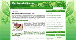 Desktop Screenshot of obat-penyakitkuning-org.blogspot.com