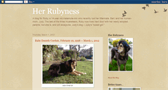 Desktop Screenshot of herrubyness.blogspot.com