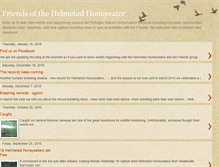 Tablet Screenshot of helmetedhoneyeater.blogspot.com