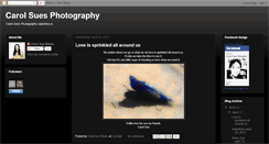 Desktop Screenshot of carolsuesphotography.blogspot.com