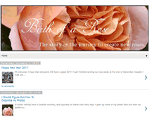 Tablet Screenshot of birthofarose.blogspot.com