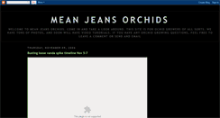 Desktop Screenshot of meanjeansorchids.blogspot.com