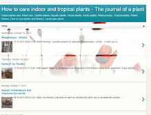 Tablet Screenshot of indoor-plants-care.blogspot.com