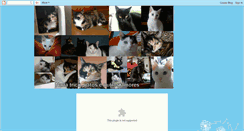 Desktop Screenshot of nanatricoegatos.blogspot.com