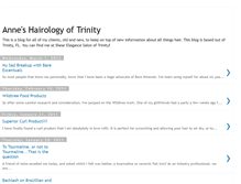 Tablet Screenshot of annepaquet.blogspot.com
