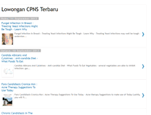 Tablet Screenshot of lowongancpnsterbaru.blogspot.com