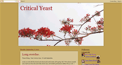 Desktop Screenshot of criticalyeast.blogspot.com
