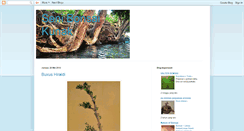 Desktop Screenshot of bonsaikunak.blogspot.com