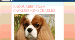 Desktop Screenshot of cavalierkingcharlesspain.blogspot.com