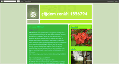 Desktop Screenshot of cidemrenkli.blogspot.com