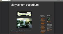 Desktop Screenshot of platyceriumsuperbum.blogspot.com