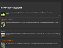 Tablet Screenshot of platyceriumsuperbum.blogspot.com