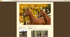 Desktop Screenshot of bouncesjourneyahorsealopecia.blogspot.com