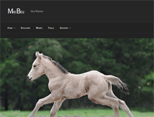 Tablet Screenshot of micbelquarterhorses.blogspot.com