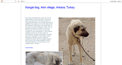 Desktop Screenshot of kangal-akin.blogspot.com