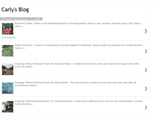 Tablet Screenshot of carlycost.blogspot.com